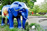 _DSC4033_elefant