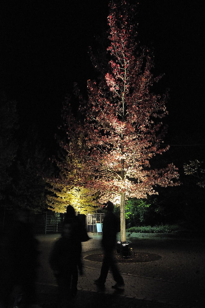 2011_1022_heleu_063