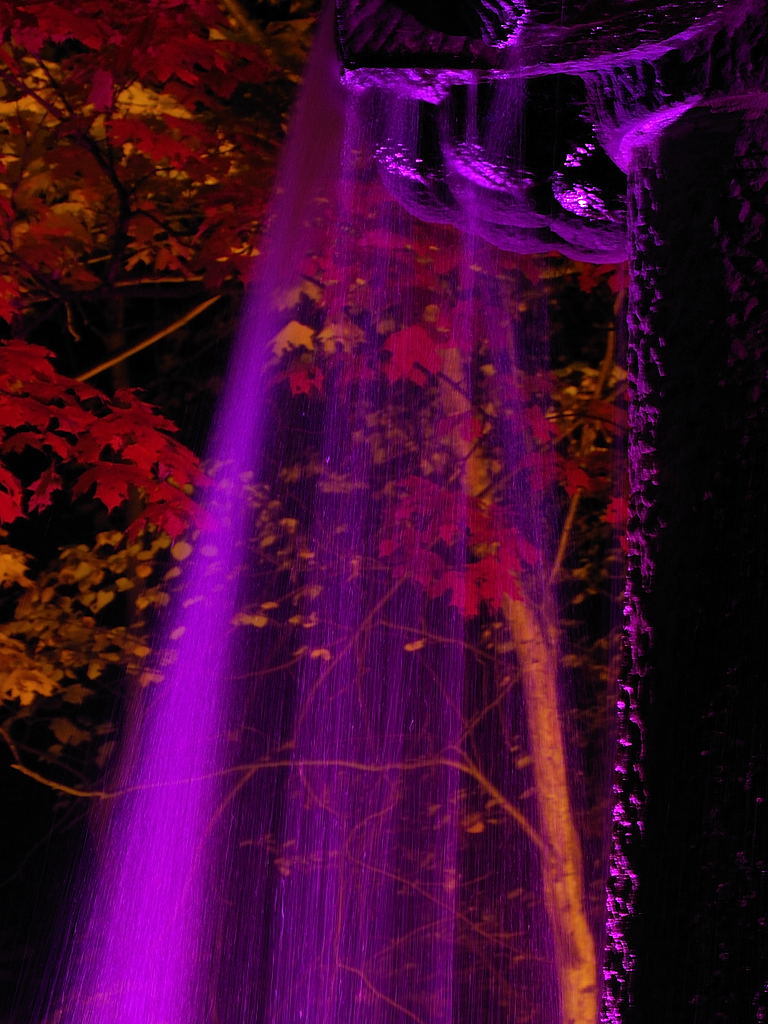 2011_1028_hl_028