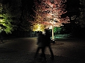 2011_1022_heleu_062