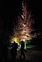 2011_1022_heleu_063