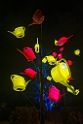14_1410_Heleu4_050