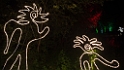 14_2410_Heleu6_068