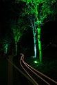 14_2410_Heleu6_084