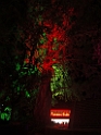 14_2610_Heleu7_201