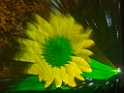 PA170111