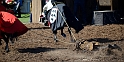 12_2705_mabroich_091