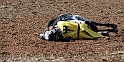 12_2705_mabroich_125