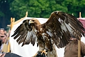 12_0706_mameng_156