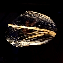 12_1606_mpsdo_269