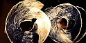 12_1606_mpsdo_553