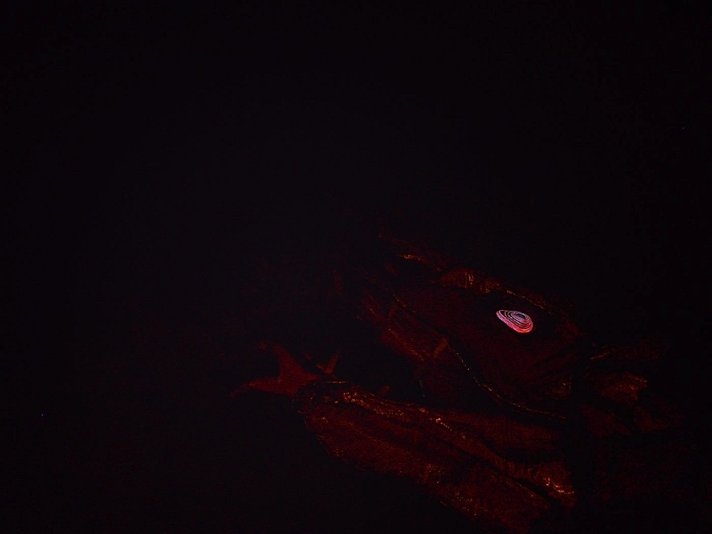14_mpsdo_0305_183