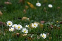 maxi1011_005