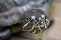 14_0604_lings4_0170