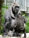 12_2306_utzook_272