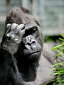 12_2306_utzook_293