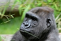 12_2306_utzook_302