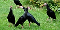 12_2306_utzook_308