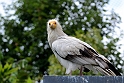 12_2306_utzook_311