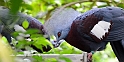 12_2306_utzook_338