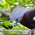 12_2306_utzook_338q