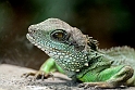 12_2306_utzook_351