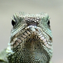 12_2306_utzook_354