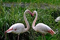 12_2306_utzook_441