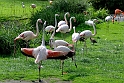 12_2306_utzook_447