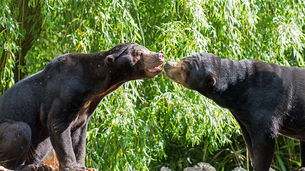 15_3005_utmszoo_027