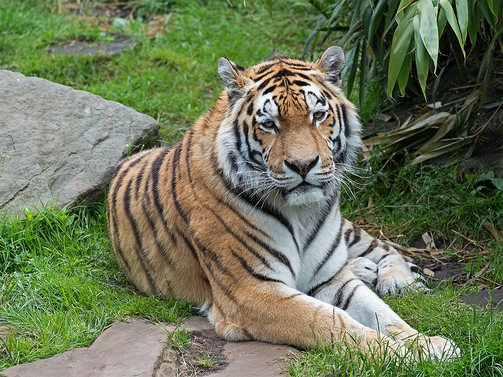 15_3005_utmszoo_116