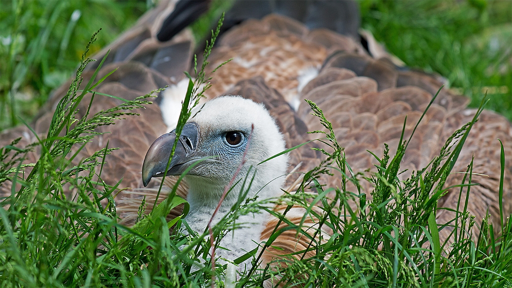 15_3005_utmszoo_138
