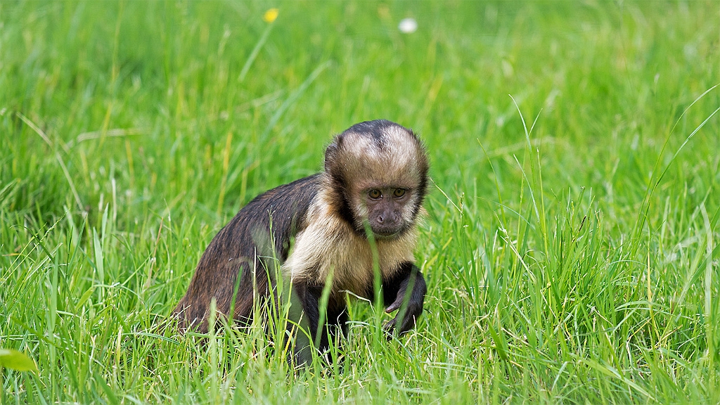 15_3005_utmszoo_197