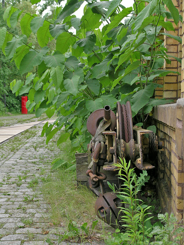 Berlin0605451