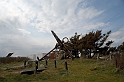12_DK_1104_loens_062
