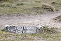 12_DK_1104_loens_073