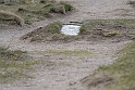 12_DK_1104_loens_077