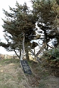 12_DK_1104_loens_079