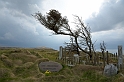 12_DK_1104_loens_091
