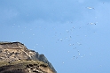 12_DK_1104_loens_117