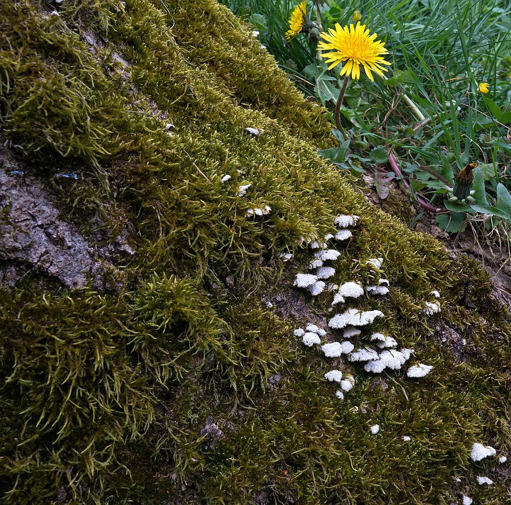 P4130244