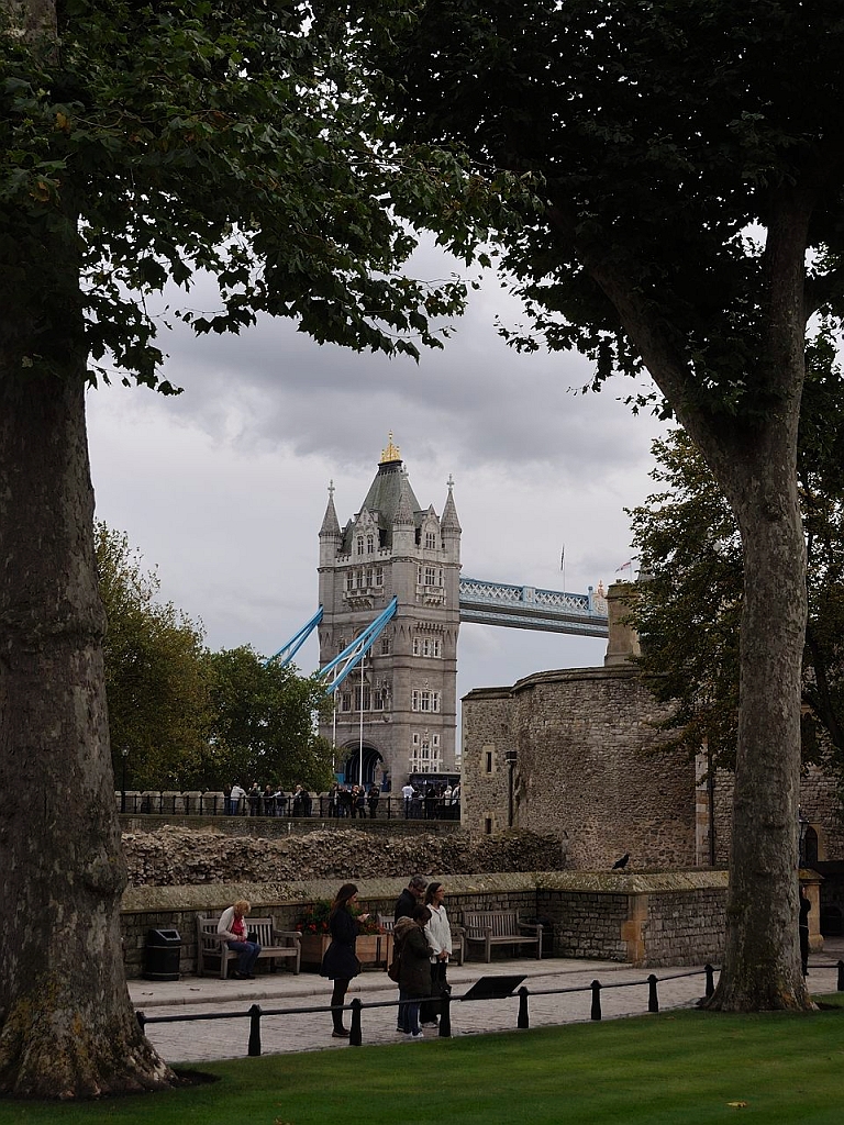 12_10_gb_495_np