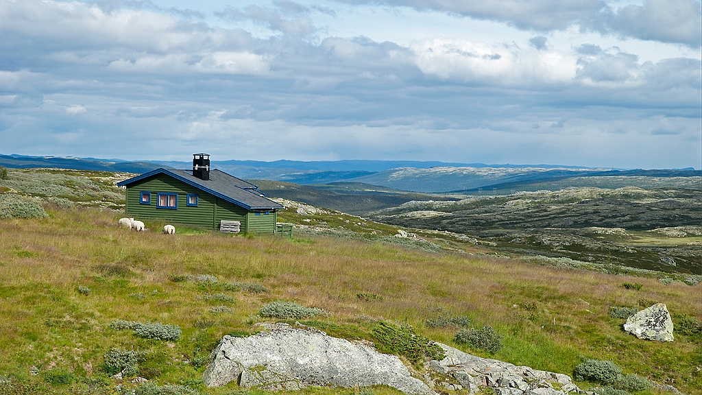nor11_1008_085