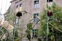 11_nor_2008_oslo_003