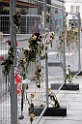 11_nor_2008_oslo_007