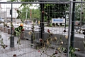 11_nor_2008_oslo_012