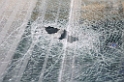 11_nor_2008_oslo_023