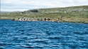 nor11_1608_099