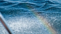 nor11_1608_178
