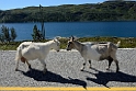 13_nor_0708_4211